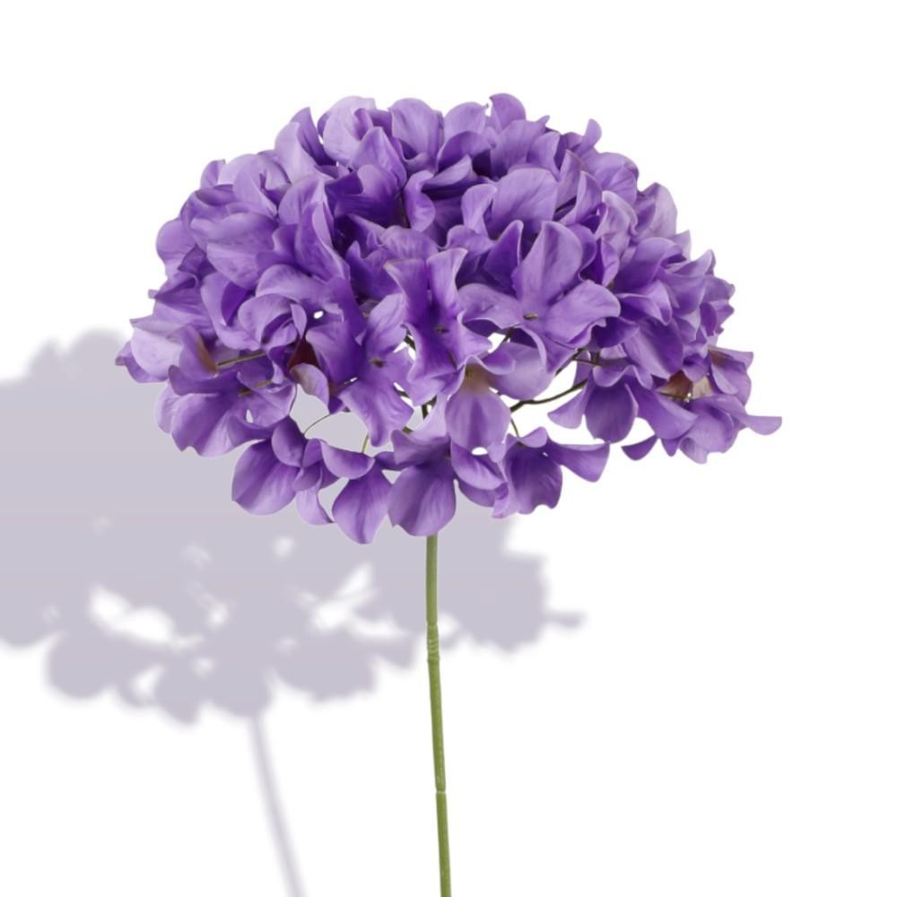 ORTENSIA SINGOLA CM.76   PORPORA